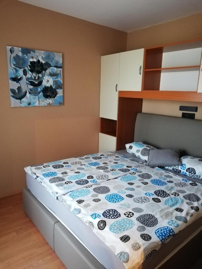 Apartmani Danijela Tomicic ロパール エクステリア 写真