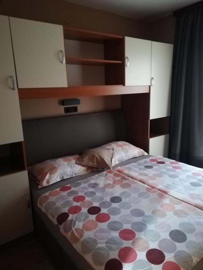 Apartmani Danijela Tomicic ロパール エクステリア 写真