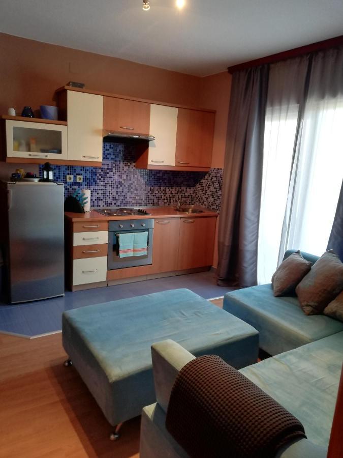 Apartmani Danijela Tomicic ロパール エクステリア 写真