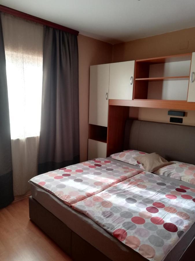 Apartmani Danijela Tomicic ロパール エクステリア 写真