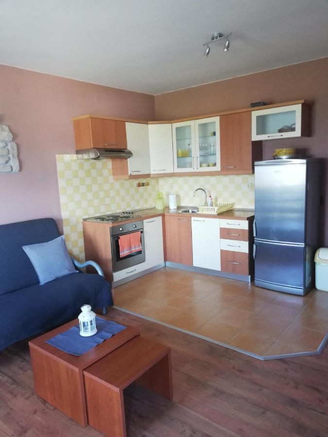 Apartmani Danijela Tomicic ロパール エクステリア 写真
